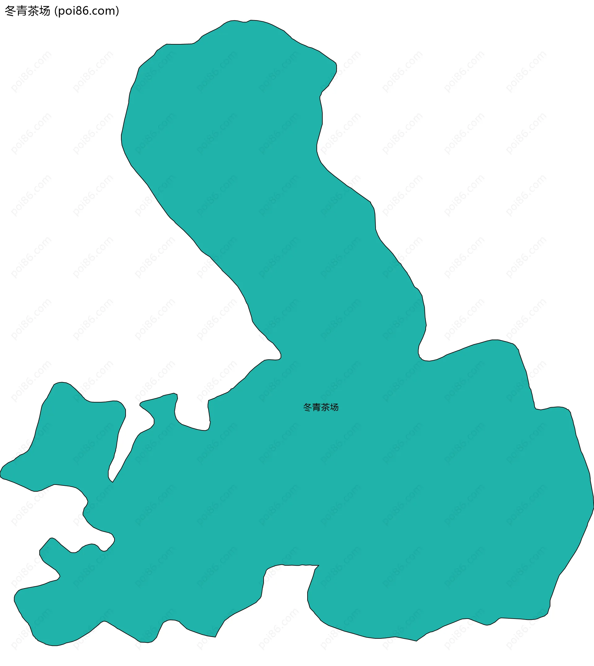 冬青茶场边界地图