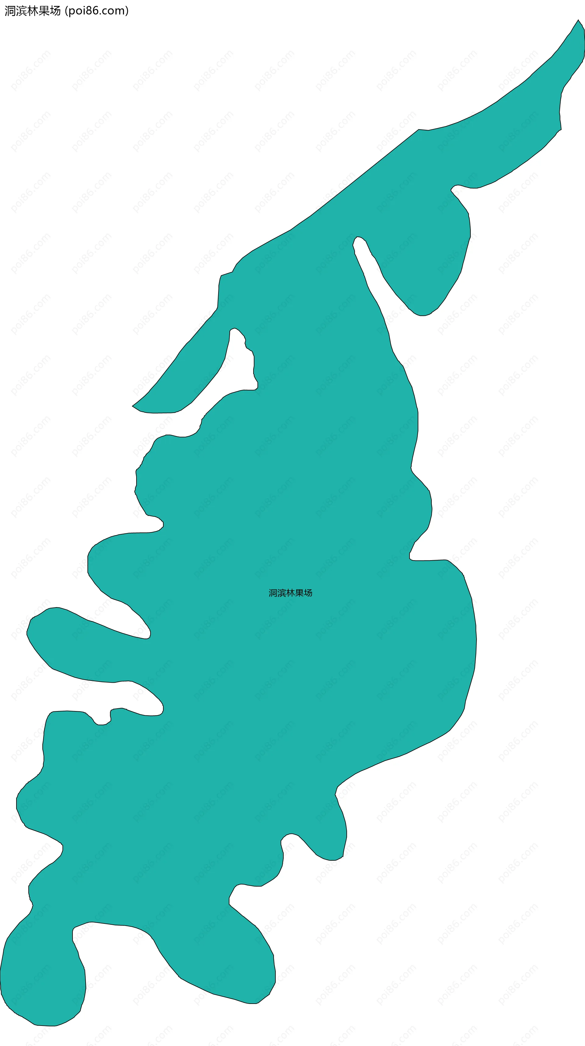 洞滨林果场边界地图