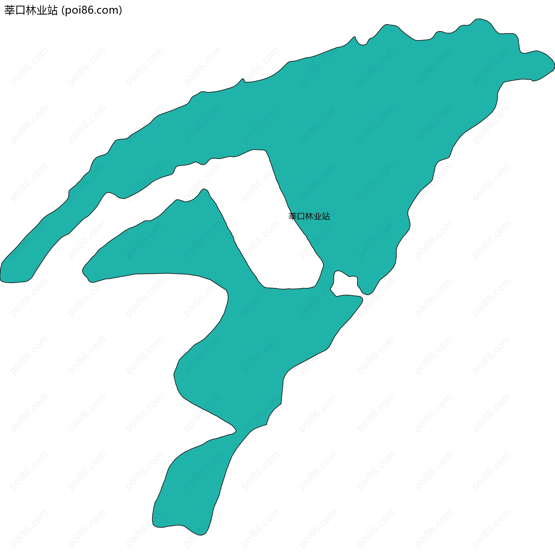 莘口林业站边界地图