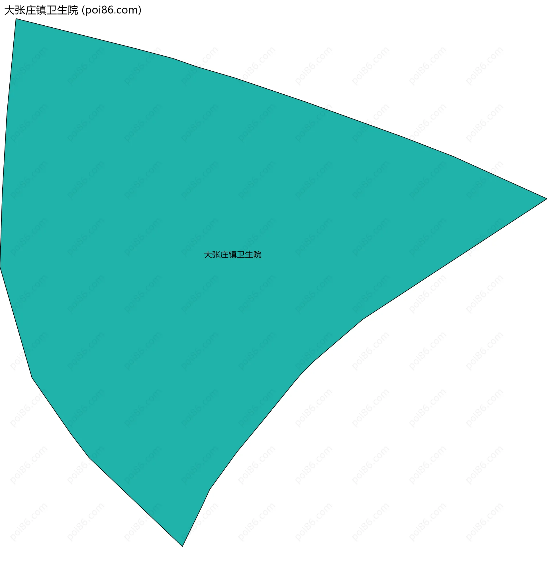 大张庄镇卫生院边界地图
