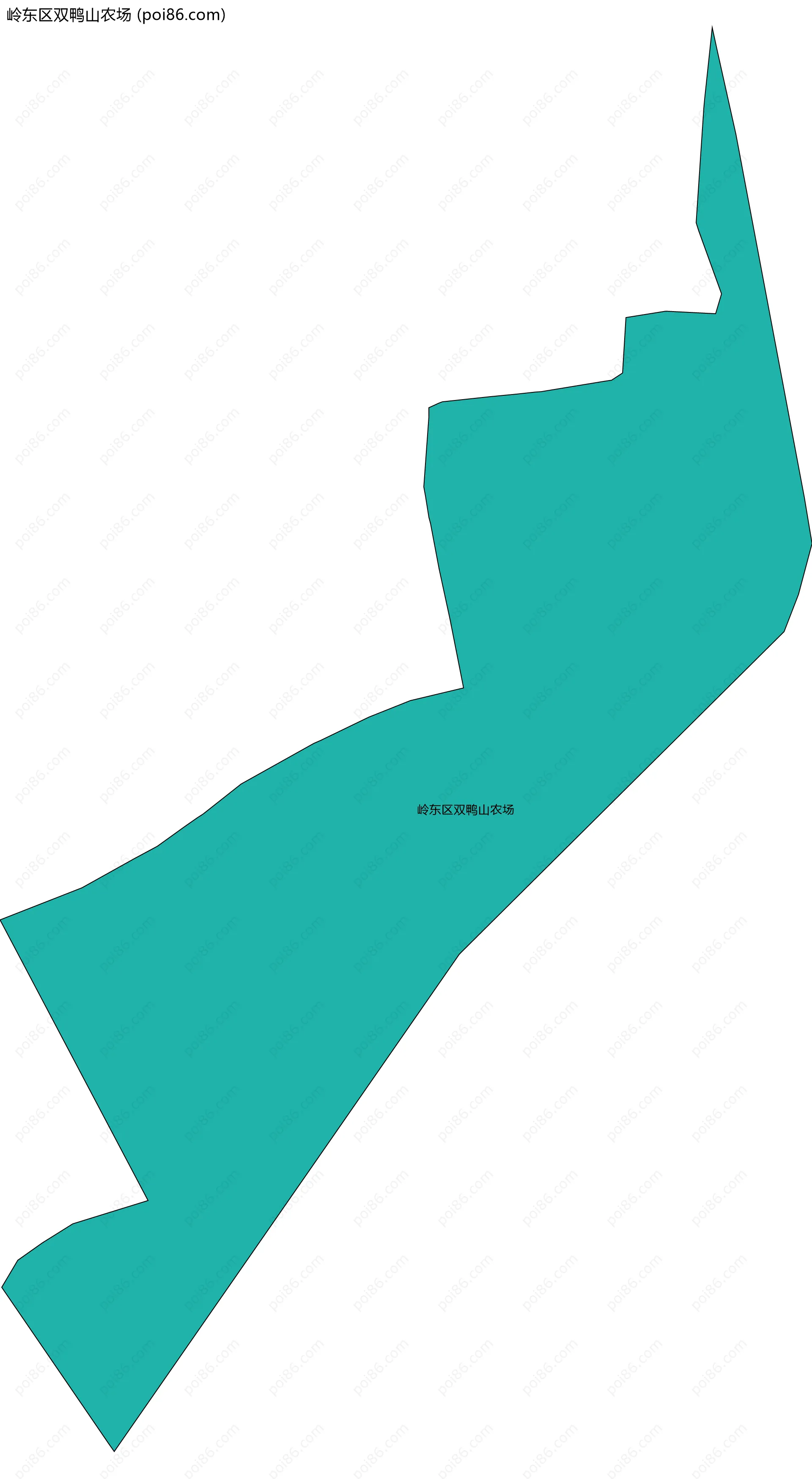 岭东区双鸭山农场边界地图