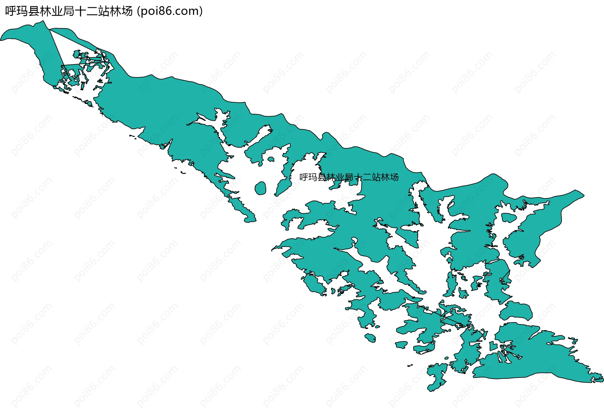 呼玛县林业局十二站林场边界地图