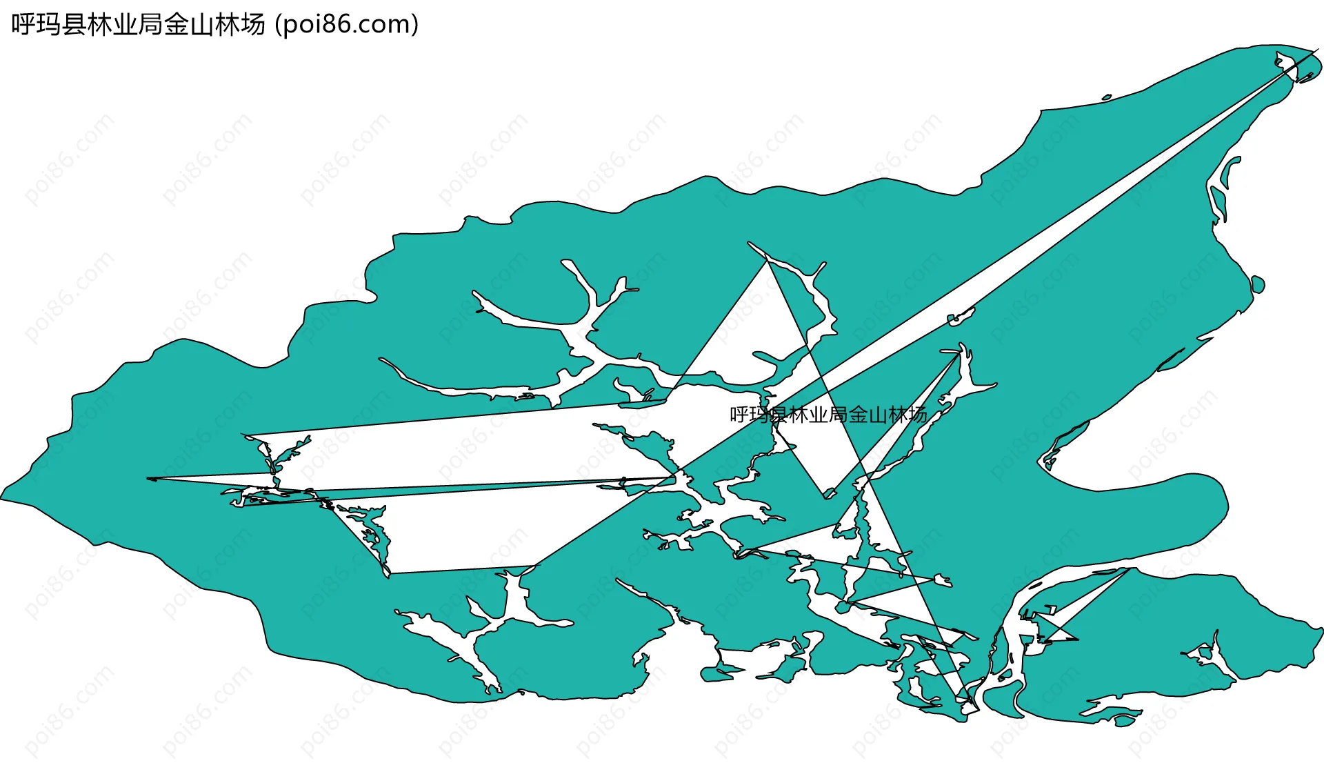 呼玛县林业局金山林场边界地图