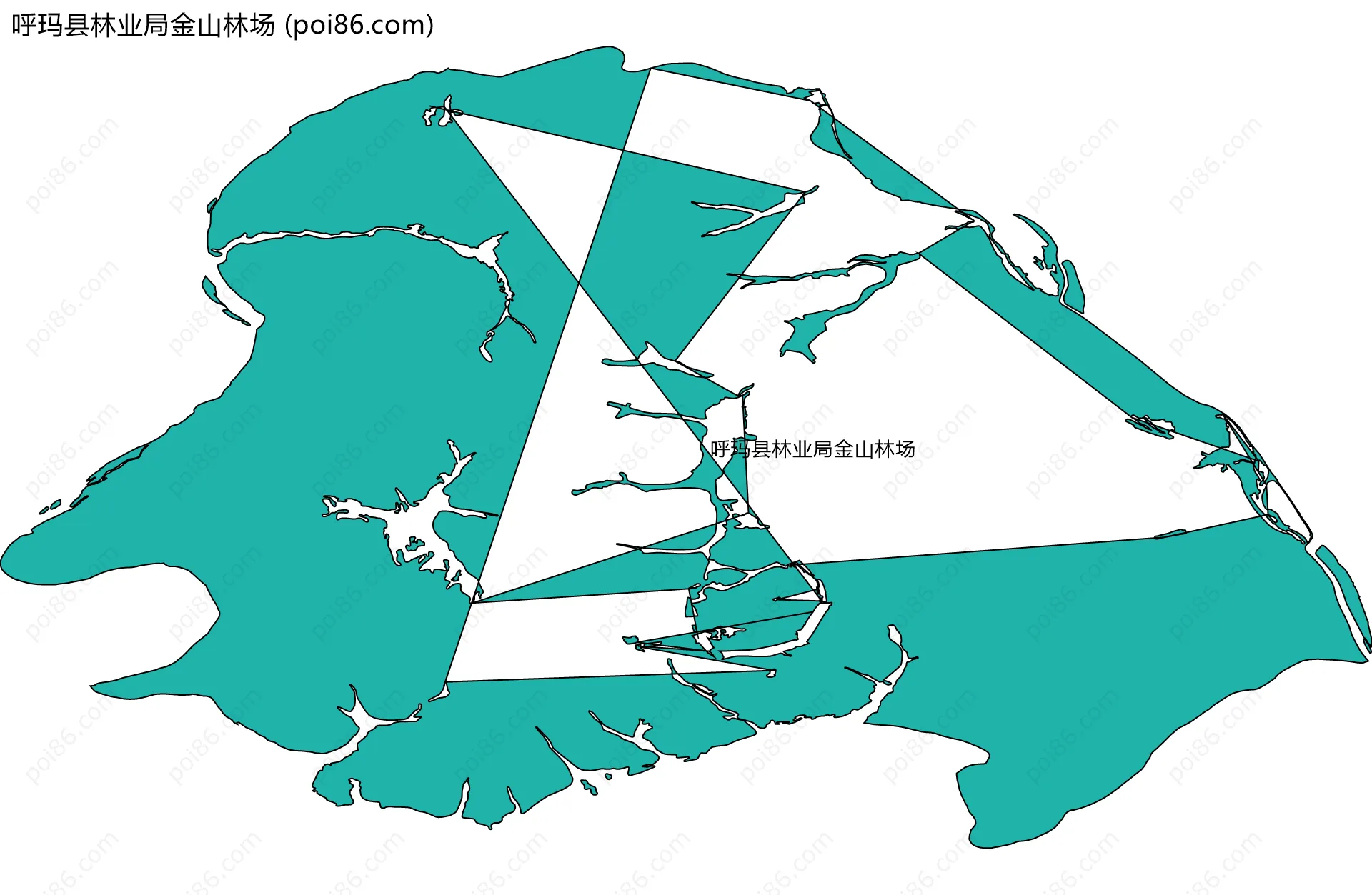 呼玛县林业局金山林场边界地图