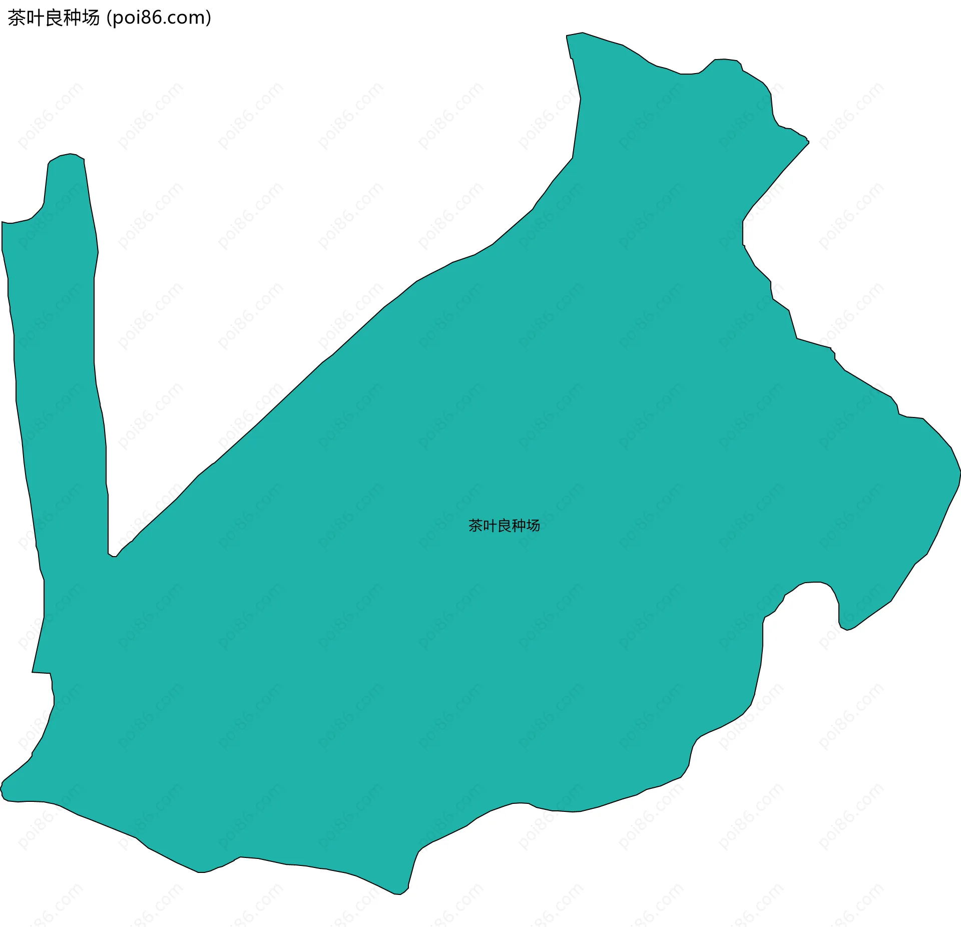 茶叶良种场边界地图