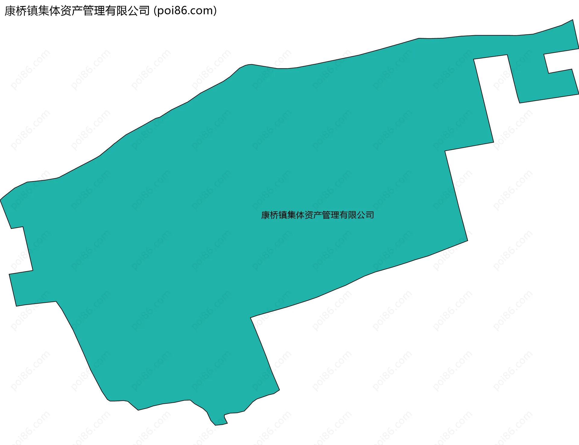 康桥镇集体资产管理有限公司边界地图