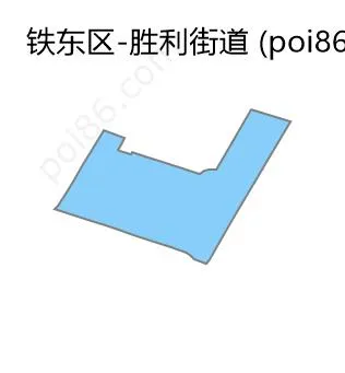 胜利街道边界地图