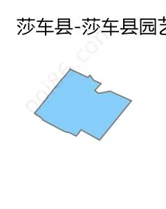 莎车县园艺场边界地图