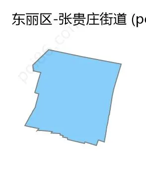 张贵庄街道边界地图